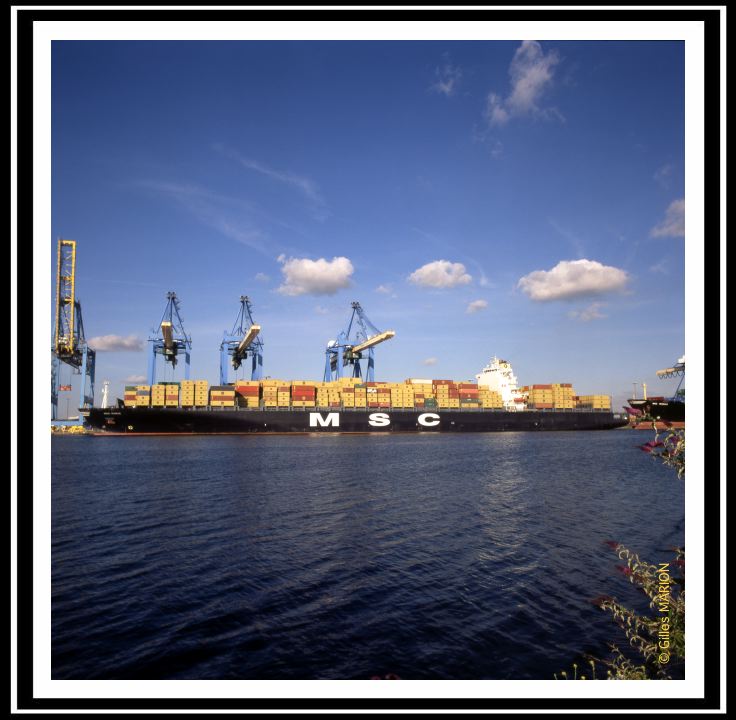 MSC Paris (Le Havre)